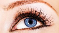 ���ٽ�ë���׻᲻������ ���ٽ�ë���˺�