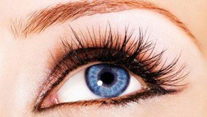 ���ٽ�ë���׻᲻������ ���ٽ�ë���˺�