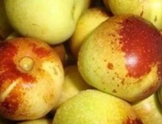 ����Ĺ�Ч������ �����Ӫ����ֵ