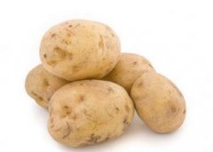 ������ѿ�˻��ܳ��� ������ѿ�����ܳԲ�