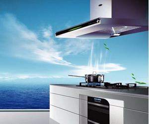 ӣ�������̻�