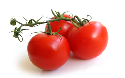 �ļ���β���Ӫ�� ��������Ӧ�ò���Ӫ��