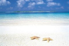 ����ʪ�����Ҫ����ԭ������Щ