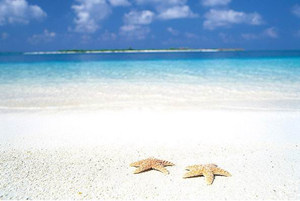 �β������ಡ�����ļ�Ҫע��ʲô