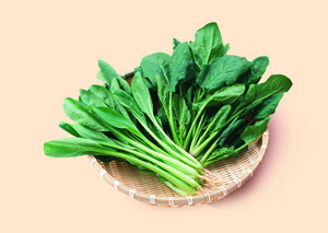 养眼护眼的食物 吃什么对眼睛有益