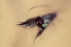 Ϊ���۾����������� ��ʲô�����۾�����