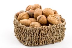 �������ٵ����ֽ�����ʳ