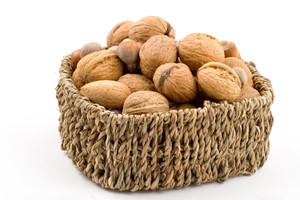 ���ֽ�����ʳ��������