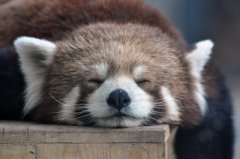 ������ô�� ������������Ǻ�