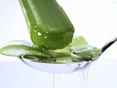 «�������湦Ч «����������