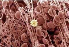 �����������������4������ ��ǿ���彡��