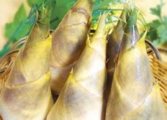 ����ĺô� �Դ������ע������