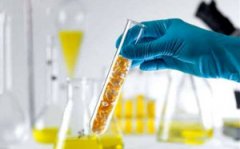 ʳƷ���Ӽ�����Щ �������Ӽ�һ������Щʳ����