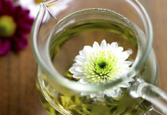 �ļ������ �����ϻ��ʲô���