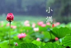 С��ʱ�ڽ���Ҫע��ʲô ��������Ѹ�ٸ�𺮼�