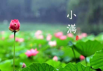 С��ʱ�ڽ���Ҫע��ʲô ��������Ѹ�ٸ�𺮼�