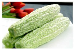 ������ʳע������ ������ʳ����