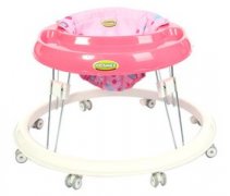 ������Ӥ��ѧ������ȫ�� ������ѧ����֪ʶ