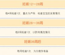 ���ڼ��ʱ��� Ϊ���г�һ�����ڼ��ƻ���