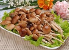 �������Ĺ�Ч�����ü�ʳ�÷���