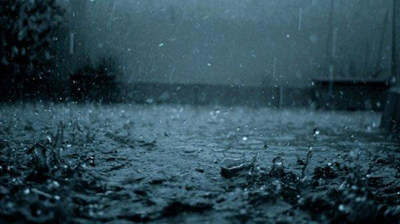 ���������ʪ���� ��ʪ��������