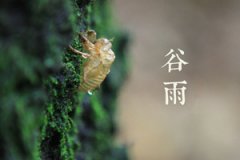 ����ʱ��ǰ��Ӧ��ע��ļ��� ���Ԥ������