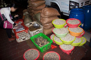 广深莞佛等市流入“毒蚬肉” 蚬肉用甲醛泡