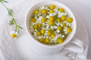 哪些人千万不要喝菊花茶 怎样喝菊花茶