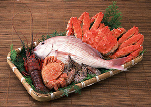 ���ڲ��ɶ�Ժ��ʴ�� �����Ƿ�ʹ��