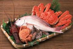 ʲôʳ���Ƿ��� ������ʶ����