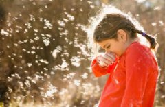 ����ԭ����Щ ����Щ����ԭ