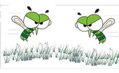 �ó涣ҧ�ᴫ����Щ����