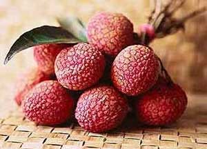 ����֦���Ĵ����