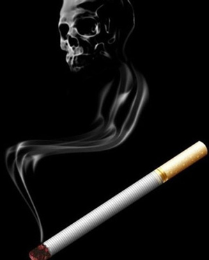 ���̵�Σ�� ���������̵�Σ������Щ