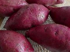 �����Ĺ�Ч������ �����ܼ�����