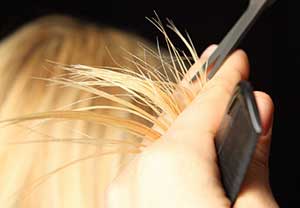 ͺͷ�������