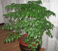 �Ҹ�����ô�� �Ҹ�������ֳ��������
