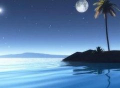 ϲ���Ͱ�������������