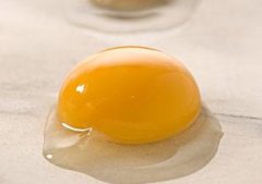 ���ƺ͵��� �ĸ�����Ӫ��