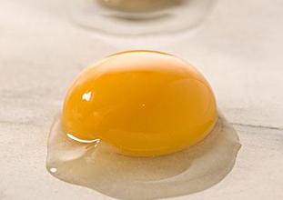 ����͵����ĸ�����Ӫ��