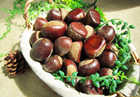 板栗的功效与作用