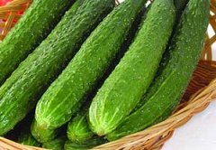 �ƹϵĹ�Ч������ �Իƹϵĺô�