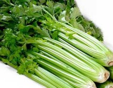 �۲˵�Ӫ����ֵ �۲˵�ʳ�ý���