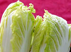 大白菜的营养价值