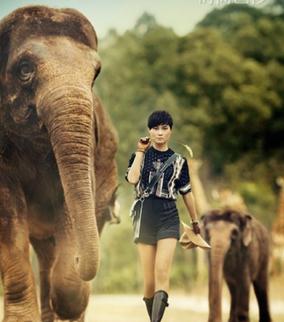 2015�������д������