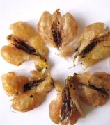 ѩ����ʲô ѩ������Щ��Ч