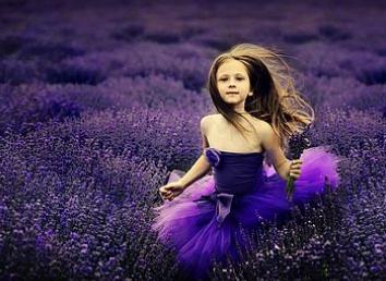 2015��ܽAFU����Ʒ�ƽ���