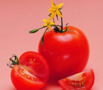 һ��Ӫ��������ͼ��ɴ���ƻ�