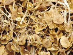 �������������빦Ч �����ز����ٵ�ʳ��