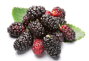 ��η�˥��  �Ƽ�7����ɫʳ��ɷ�˥��